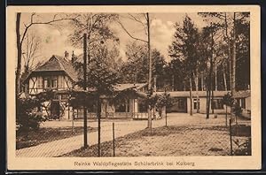 Ansichtskarte Kolberg, Reinke Waldpflegestätte Schülerbrink