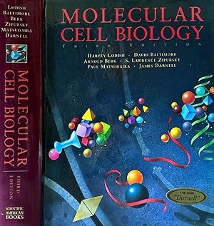 Imagen del vendedor de Molecular cell biology a la venta por Biblioteca di Babele