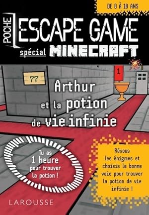 Escape game de poche sp Minecraft - La potion de vie ?ternelle - Vincent Raffaitin