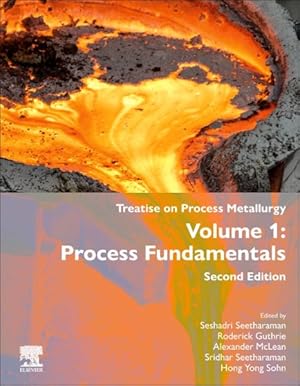 Seller image for Process Fundamentals for sale by GreatBookPrices