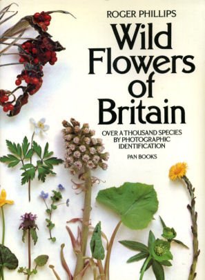 Immagine del venditore per Wild Flowers of Britain venduto da Ammareal