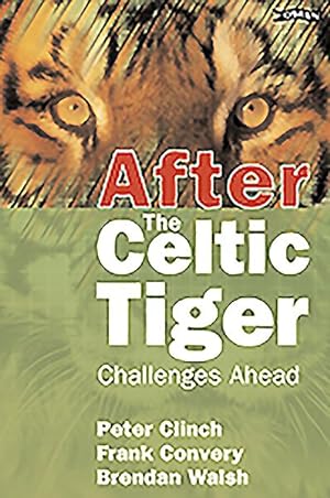 Imagen del vendedor de After the Celtic Tiger : Challenges Ahead a la venta por GreatBookPricesUK