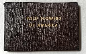 Seller image for Wild Flowers of America for sale by Eureka Books
