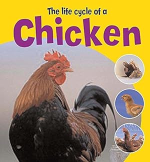 Imagen del vendedor de The Life Cycle of A Chicken (Learning About Life Cycles) a la venta por WeBuyBooks