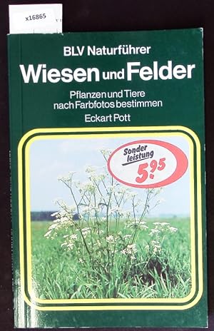 Seller image for Schmetterlinge. Unsere Tag- und Nachtfalter nach Farbfotos bestimmen. for sale by Antiquariat Bookfarm