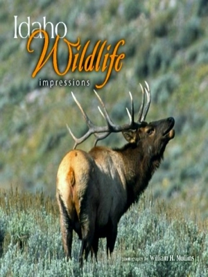 Seller image for Idaho Wildlife Impressions for sale by Collectors' Bookstore
