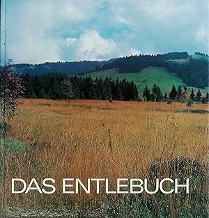 Bild des Verkufers fr Ein Blick in die Vergangenheit - in: Das Entlebuch zum Verkauf von books4less (Versandantiquariat Petra Gros GmbH & Co. KG)