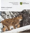 Seller image for Wildnis in Sachsen? Fragen und Antworten. for sale by Buchversand Joachim Neumann