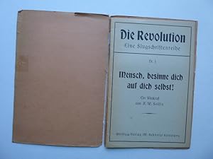 Mensch, besinne dich auf dich selbst!: Ein Weckruf von A. W. Sellin. * Die Revolution. Eine Flugs...