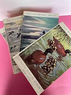 WILDFOWL TRUST ANNUAL REPORTS 1948-1959 [10 reports]