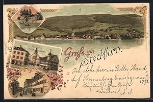 Lithographie Steckborn, Gasthäuser Krone und Löwe mit Rathaus, Panorama