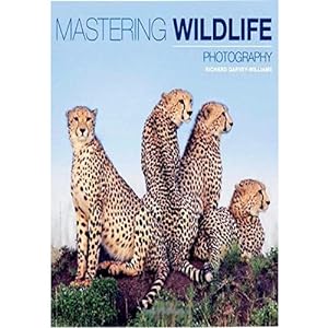 Seller image for Mastering Wildlife Photography for sale by usa4books
