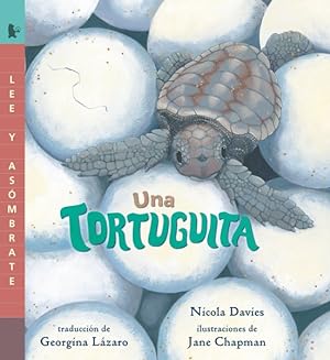 Seller image for Una tortuguita : Read and Wonder -Language: Spanish for sale by GreatBookPrices