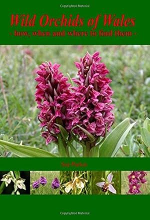 Bild des Verkufers fr Wild Orchids of Wales: How, When and Where to Find Them zum Verkauf von WeBuyBooks
