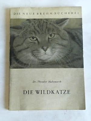 Die Wildkatze