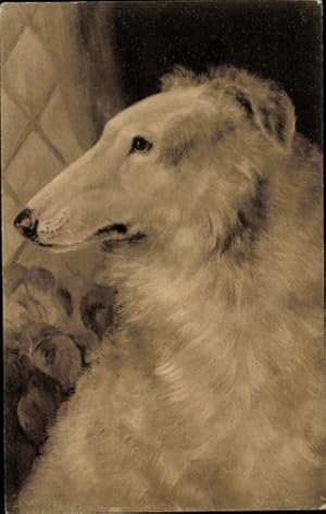 Ansichtskarte / Postkarte Tierportrait, Windhund