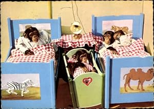 Ansichtskarte / Postkarte Vermenschlichte Schimpansen in Kinderbetten, Wiege