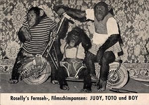 Ansichtskarte / Postkarte Roselly's Fernseh-, Filmschimpansen Judy, Toto, Boy, Roller