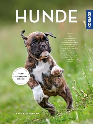 Hunde. Halten, erziehen, beschäftigen.