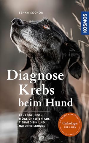 Diagnose Krebs beim Hund. Behandlungsmöglichkeiten aus Tiermedizin und Naturheilkunde.