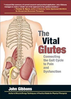 Bild des Verkufers fr The Vital Glutes: Connecting the Gait Cycle to Pain and Dysfunction zum Verkauf von WeBuyBooks