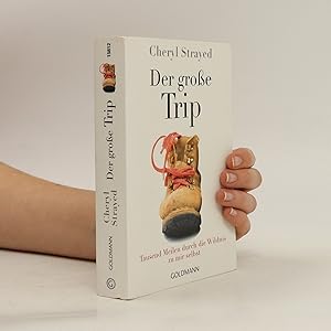 Seller image for Der groe Trip for sale by Bookbot