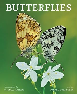 Bild des Verkufers fr Butterflies zum Verkauf von GreatBookPricesUK