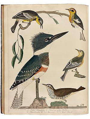 Seller image for American Ornithology; or, the Natural History of the Birds of the United States: Illustrated with Plates Engraved and Colored from Original Drawings Taken from Nature. Volumes I-IX for sale by Donald A. Heald Rare Books (ABAA)