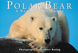 Seller image for Polar Bear : A Book of Postcards for sale by GreatBookPrices
