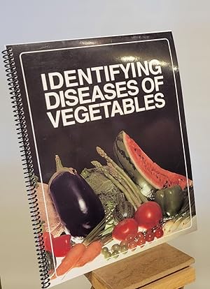 Identifying Diseases of Vegetables