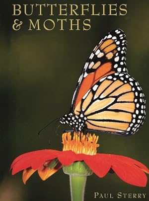 Image du vendeur pour Butterflies & Moths mis en vente par GreatBookPrices