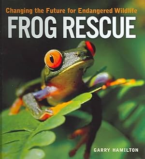 Imagen del vendedor de Frog Rescue : Changing The Future For Endangered Wildlife a la venta por GreatBookPrices