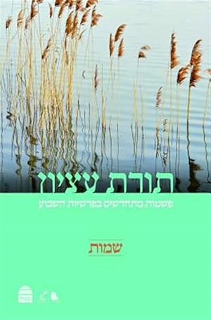 Seller image for Torat Etzion : Shemot -Language: hebrew for sale by GreatBookPrices