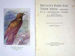 Image du vendeur pour Britain's Birds and their Nests mis en vente par Barter Books Ltd