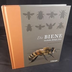 Die Biene: Geschichte, Biologie, Arten