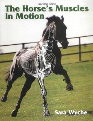 Bild des Verkufers fr The Horse's Muscles in Motion zum Verkauf von WeBuyBooks