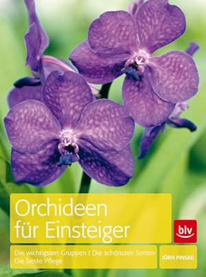 Orchideen für Einsteiger Die wichtigsten Gruppen Die schönsten Sorten Die beste Pflege