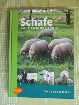 Imagen del vendedor de Schafe Das Fotobuch fr die Praxis a la venta por Brcke Schleswig-Holstein gGmbH
