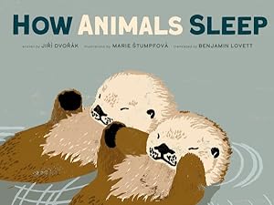 Imagen del vendedor de How Animals Sleep a la venta por GreatBookPrices