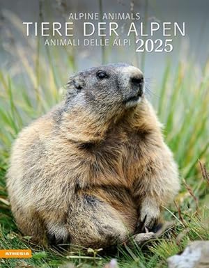 Seller image for Tiere der Alpen - Kalender 2025 : Animali delle Alpi - Alpine animals for sale by AHA-BUCH GmbH