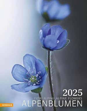 Seller image for Alpenblumen Kalender 2025 : Fiori alpini - Alpine flowers for sale by AHA-BUCH GmbH