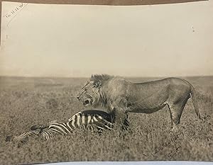 Bild des Verkufers fr Original African Safari Photographs inscribed by Hemingway to Helen Hay Whitney zum Verkauf von Riverby Books