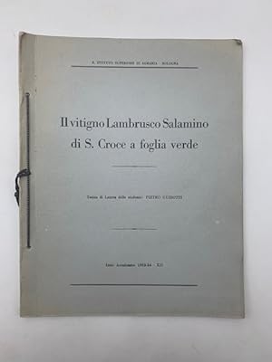 Il vitigno Lambrusco Salamino di S. Croce a foglia verde. Tesina di laurea