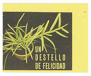 Un Destello de Felicidad