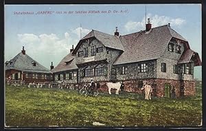 Ansichtskarte Stubalmhaus Gaberl mit Kühen