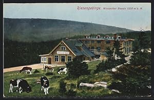 Ansichtskarte Riesengebirge, Wossecker Baude