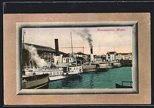 Ansichtskarte Romanshorn, Hafen mit Raddampfern
