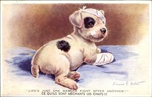 Künstler Ansichtskarte / Postkarte Valter, F. E., Verletzter Hund, Welpe, Verband