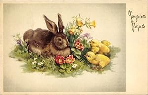 Ansichtskarte / Postkarte Glückwunsch Ostern, Hase, Küken, Blumen