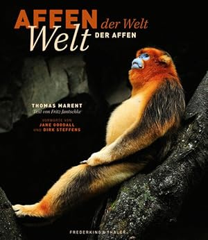 Bild des Verkufers fr Bildband Affen: Die Welt der Affen und Primaten, vom Kapuzineraffen bis zum Berggorilla, mit Aufnahmen des Tierfotografen Thomas Marent und einem Vorwort von Jane Goodall zum Verkauf von Studibuch